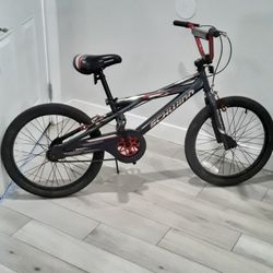 Schwinn Kid Bicycle 20"