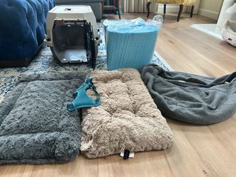 Puppy Starter Kit