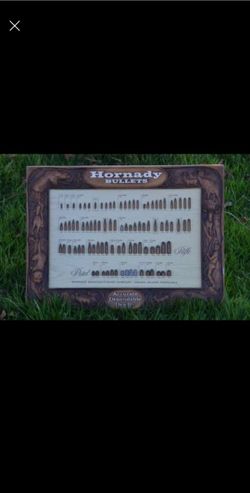$300 OBO Vintage Hornady Advertising Board Display 22" x 16" - very good condition