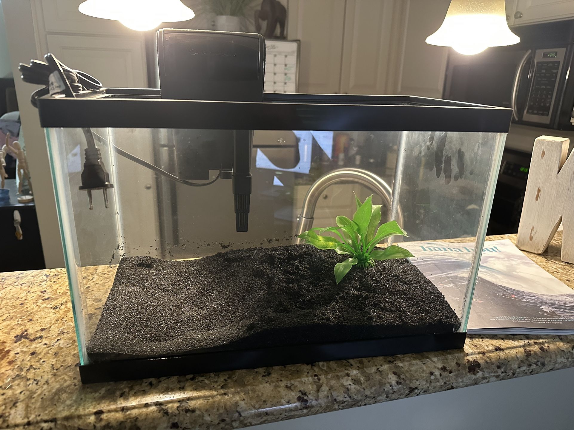 10 Gallon Fish Tank Brand New