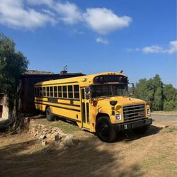 1989 Blue Bird dt466 School Bus