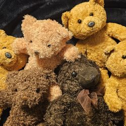 Stuffed Animal Bears
