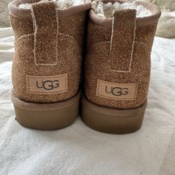 Ugg Men