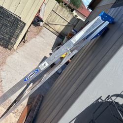 6 Ft  Werner Ladder. Metal Ladder