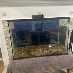 33 Gallon Aquarium Fish Tank with Filter 