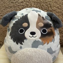 Raylor the Australian Shepherd $11