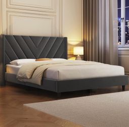 Queen Size Bed
