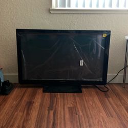 Panasonic Flat Screen Television 