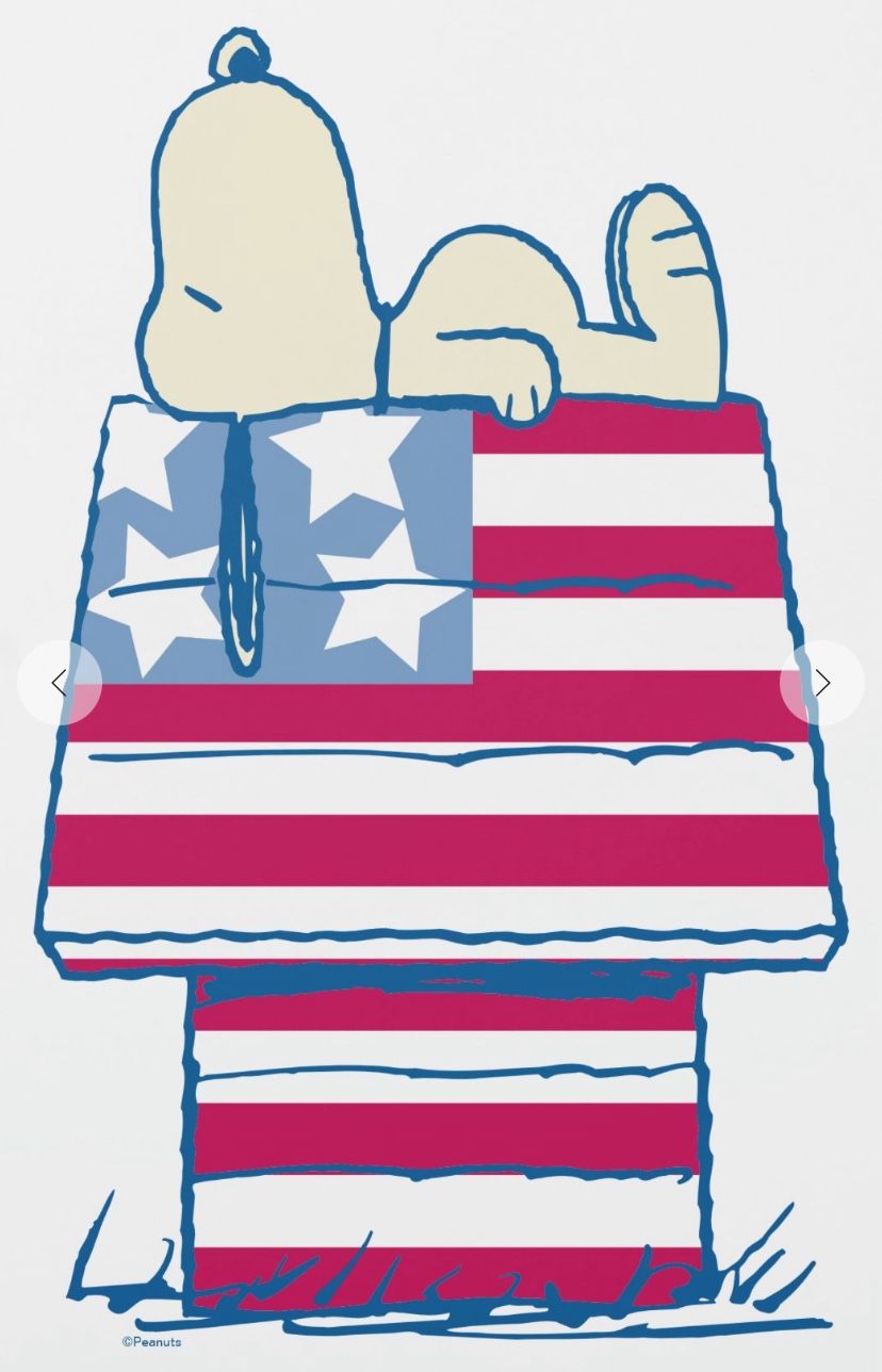 Snoopy on 4th of July Dog House Door Sign New