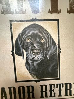 Cute Wanted Labrador Retriever Tin Sign 16” x 12.5”   Vintage-style metal wall sign with a black Labrador Retriever 'Wanted' poster design. This recta