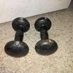 8 Pound Dumbbells