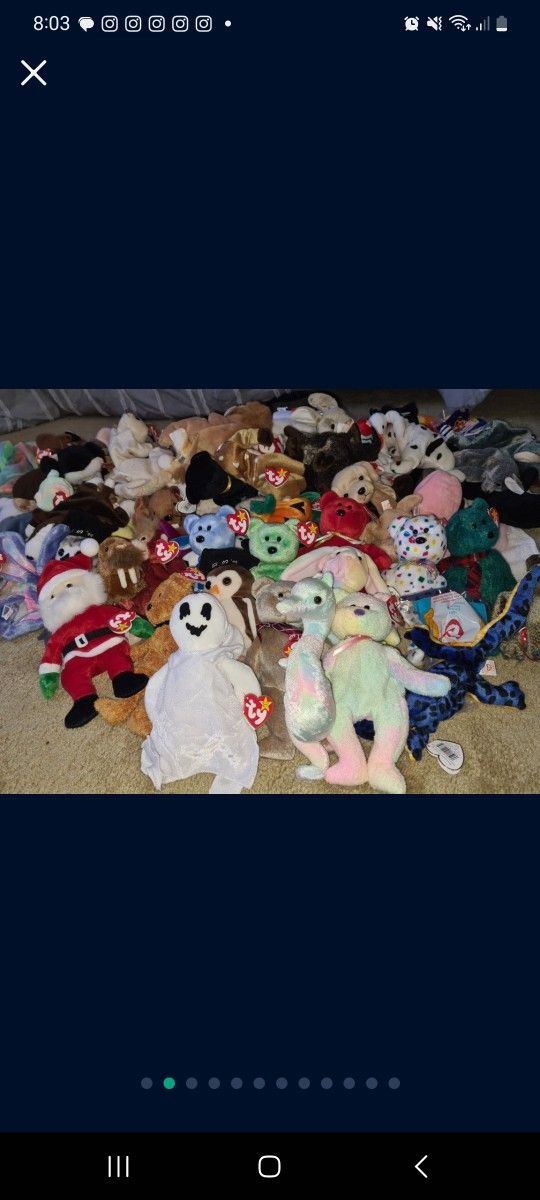 Entire Beanie Baby Collection!!!