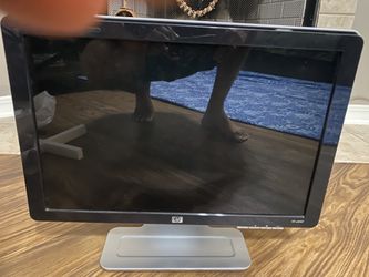 HP W2007 Monitor