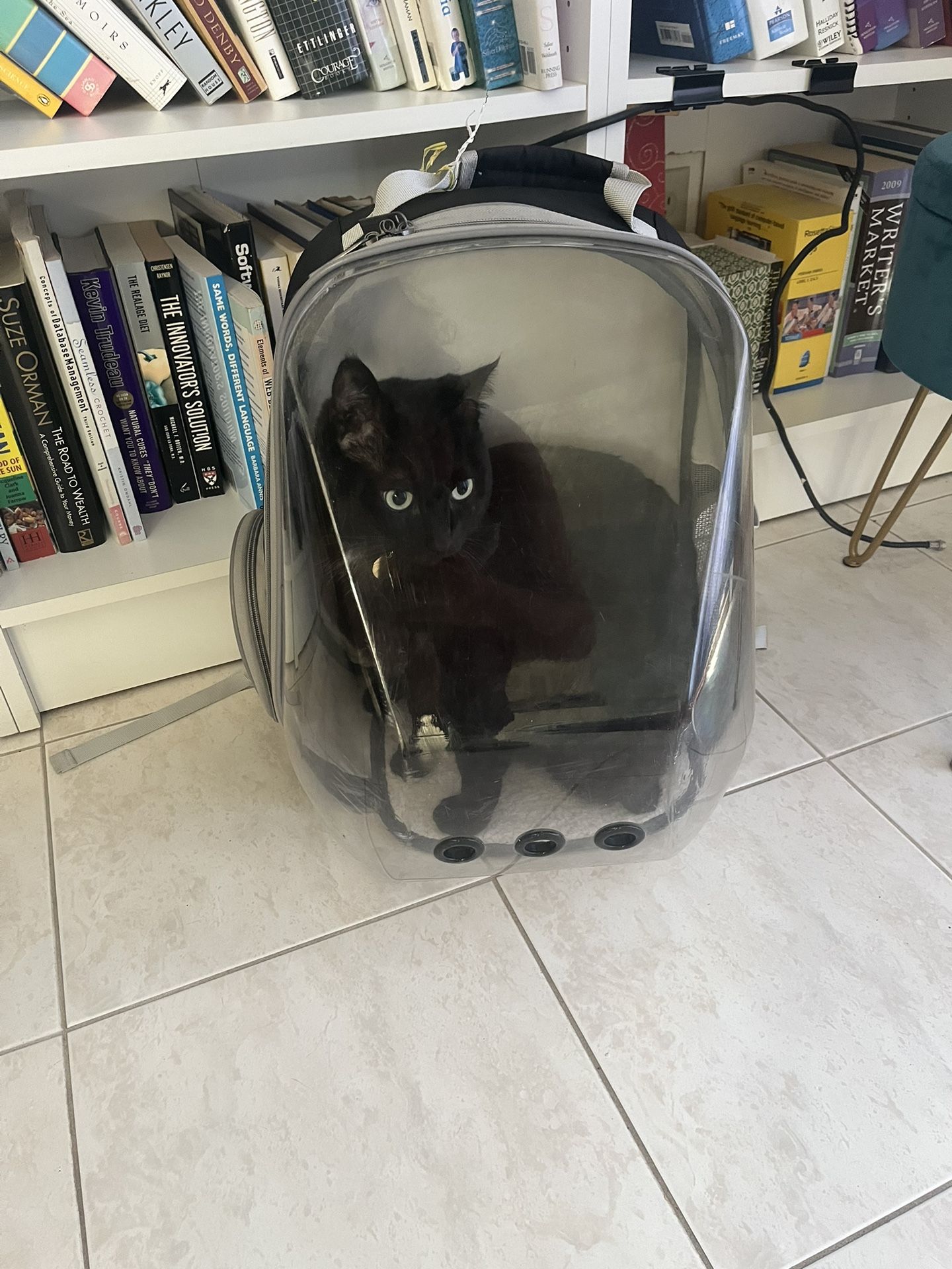 Clear Cat Backpack