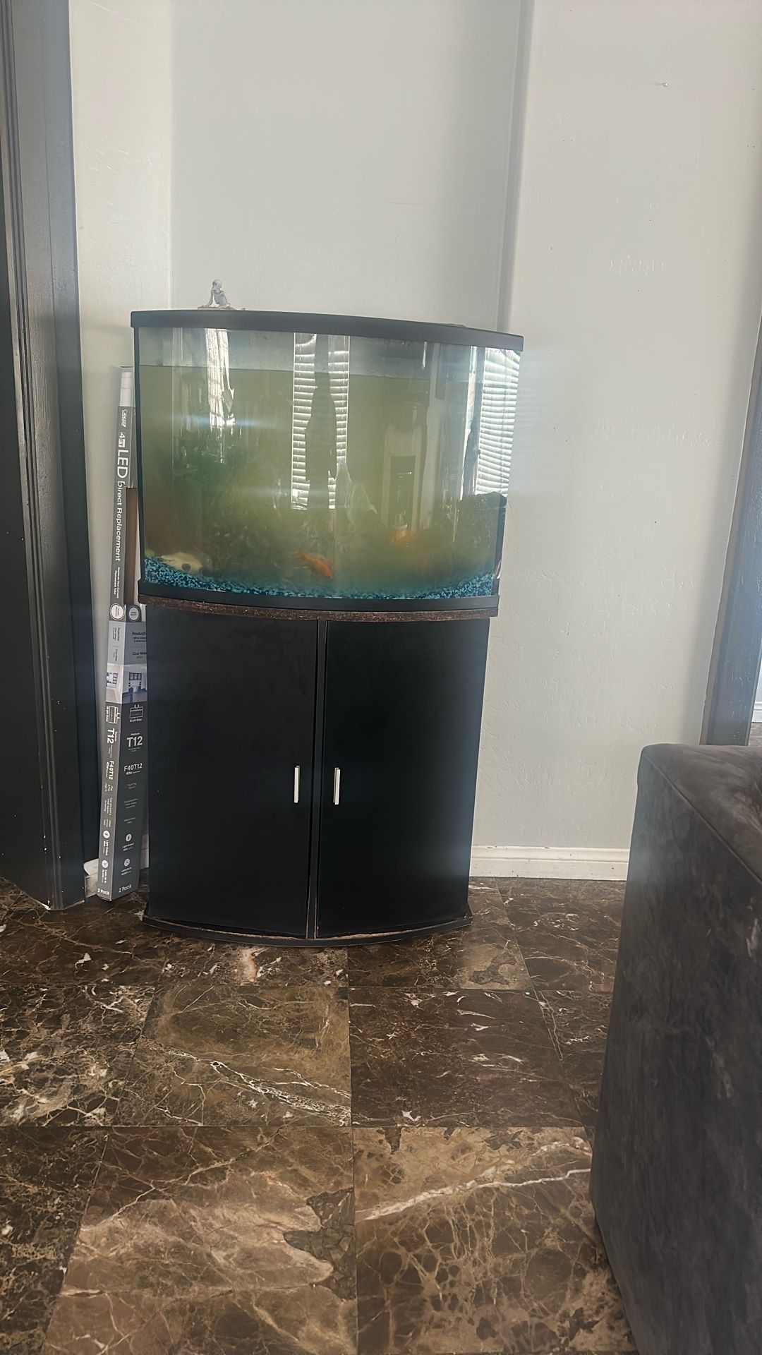 Fish Tank