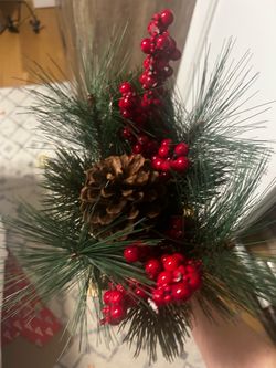 DECOR PLANT