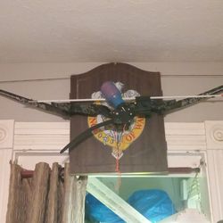 PSE kingfisher bow and arrow. For fishing