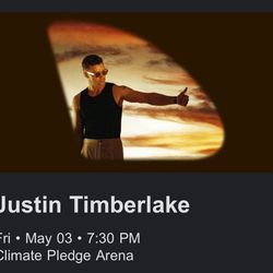 Justin Timberlake Concert Ticket (1)