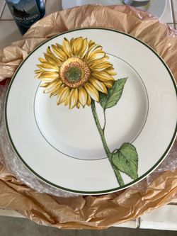 Villeroy & Bosch Flora 10.5” Plates