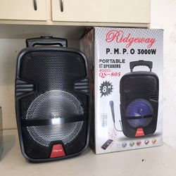 Portable Party Speaker -12 Woofer - 3000 Watts 