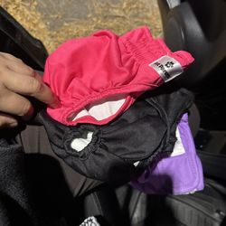 Dog Reusable Pamper
