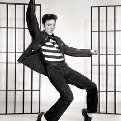 Elvis Presley 