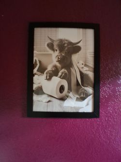 Cow with Toilet Paper Roll