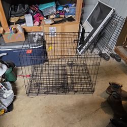 Dog Kennel