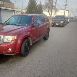 2008 ford escape