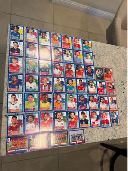 Panini blue border 55 stickers