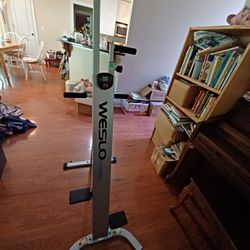 Clinber Stepper(Weslo)