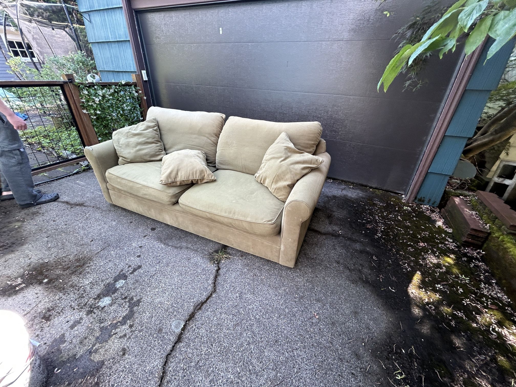 Free Sofa