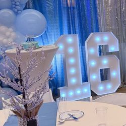 4ft Pre-Lit Numbers For Party Planners