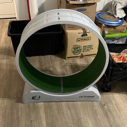 Cat Treadmill 