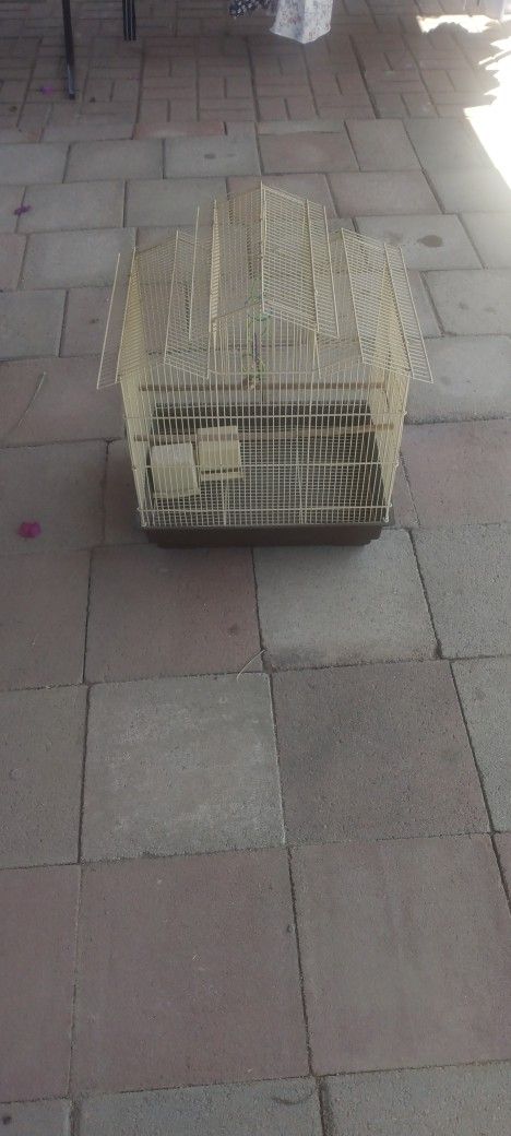 Bird Cage