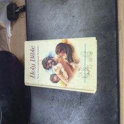 NIV Childrens Holy Bible