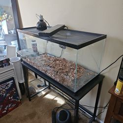 Large Reptile Tank 40 Gallon 