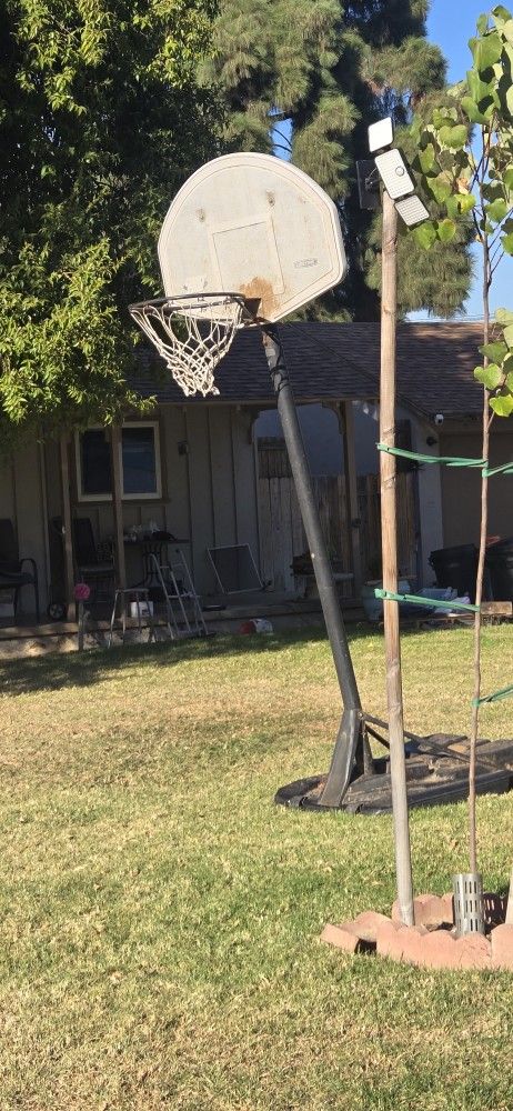 FREE BASKETBALL HOOP