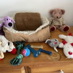 Small Dog Bed with Bowls and Accessories 