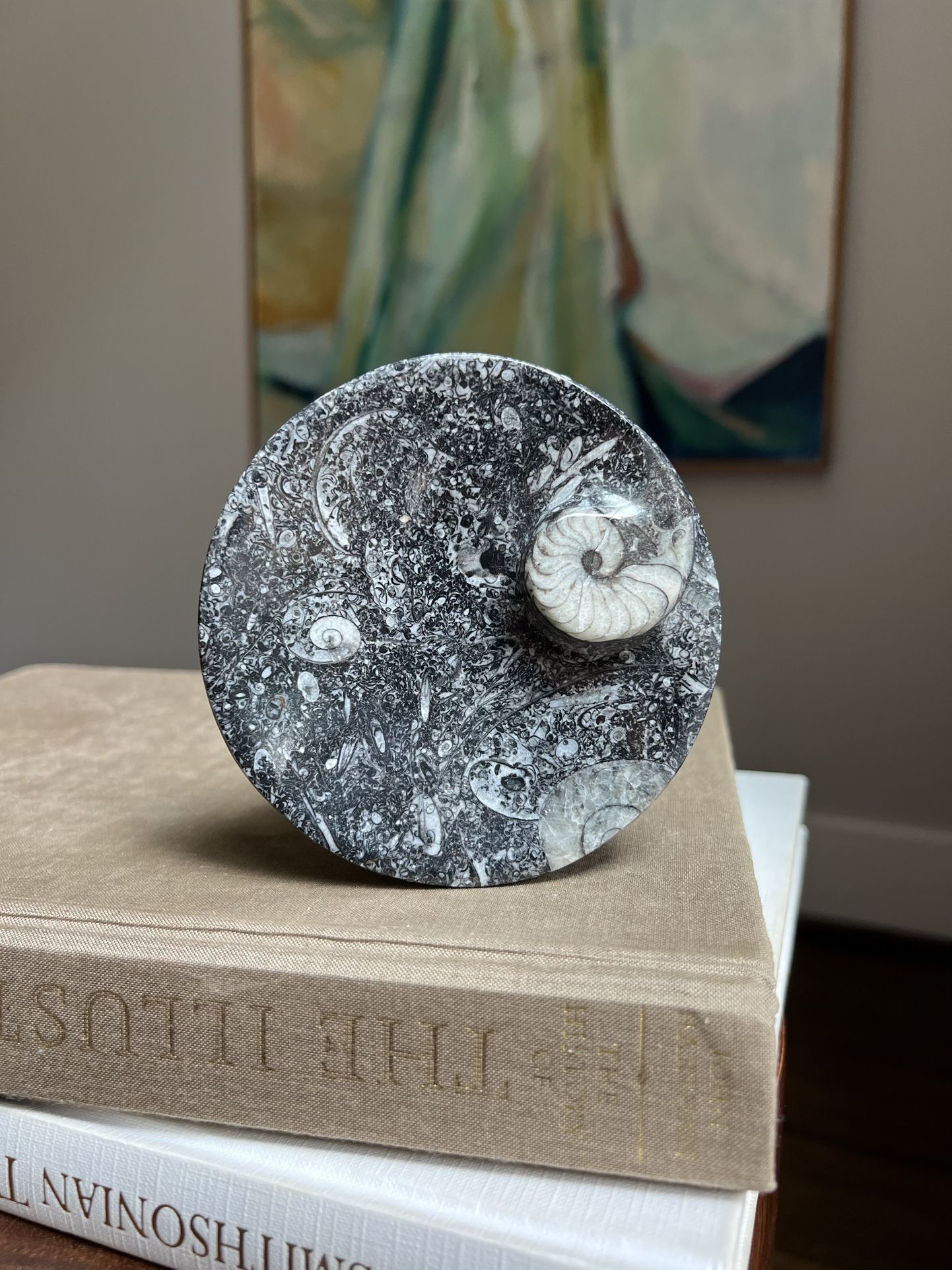 Small Ammonite Fossil Dish ( firm on price )