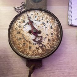 Vintage Pelouze Dairy Hanging Scale