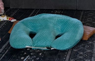 Twin Z Boppy Pillow