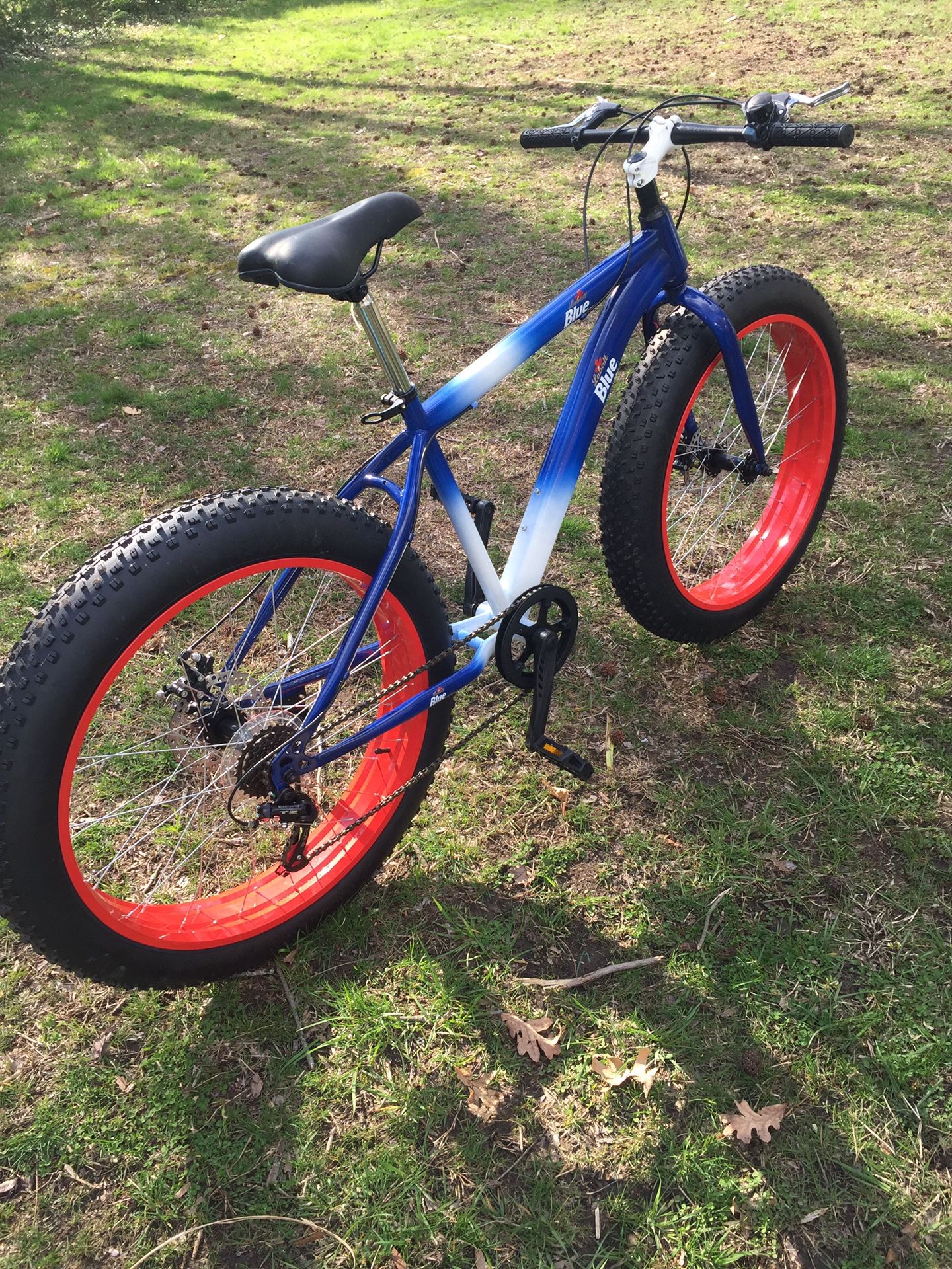 Brand new Beach Bike