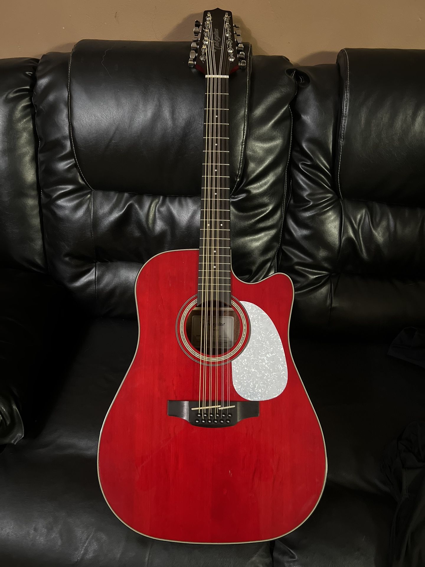 Takamine 12 string gd-30