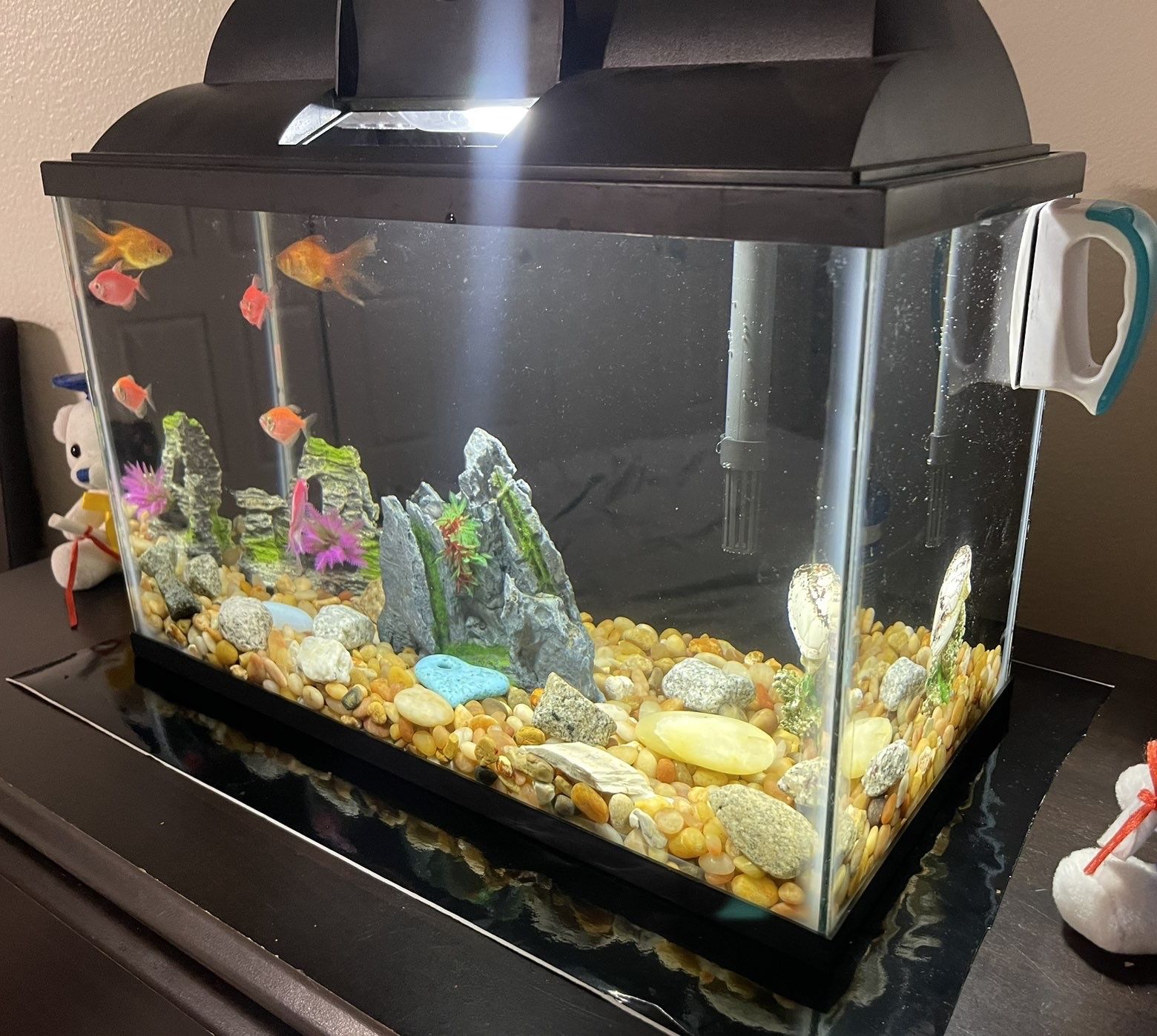 Fish Tank