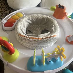 Skip hop  activity center