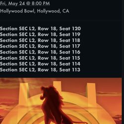 Lion King Theater Hollywood Bowl