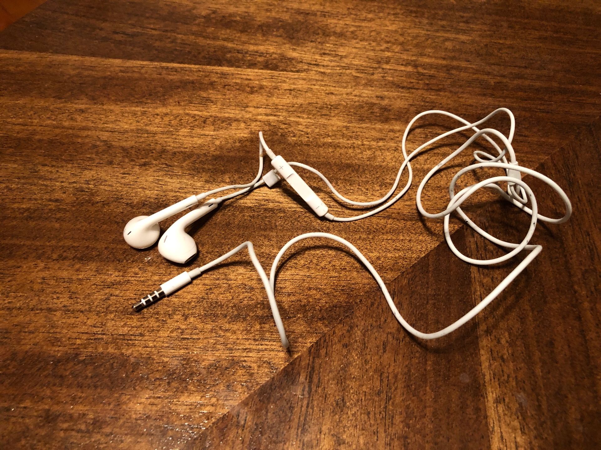 Apple iPhone earbuds