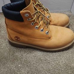 Timberland Classic Color Size 5.5 In Boys
