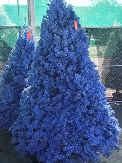 Oregon Christmas Trees!!!